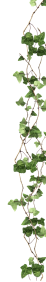 bannr-img