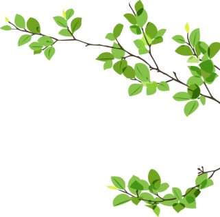 leaf-img